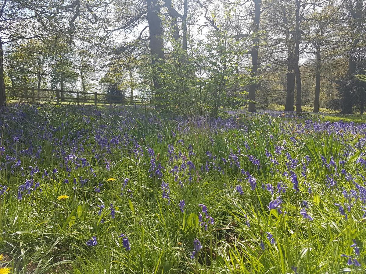 Kelham House Country Manor Hotel Newark upon Trent Exteriör bild